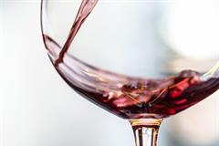 Foto für Degustazione vini e bollicine presso la cantina Kettmeir 2024 Venerdì